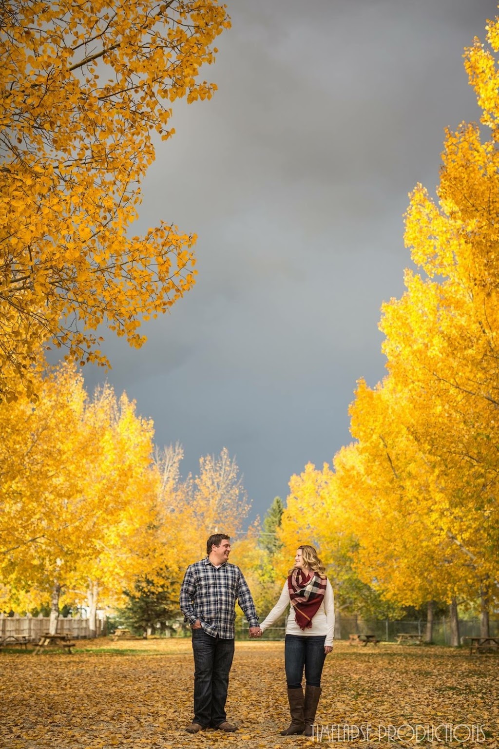 Timelapse Productions | 10 Fox Close, Sylvan Lake, AB T4S 1X3, Canada | Phone: (403) 304-3579
