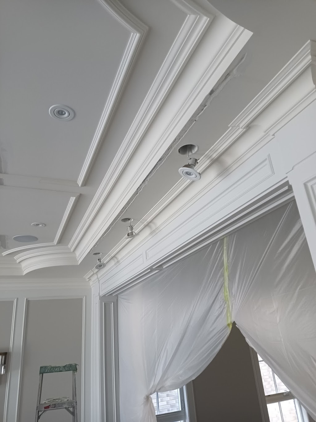 Danyal painting | 46 Subrisco Ave, Richmond Hill, ON L4S 1B2, Canada | Phone: (647) 760-7879
