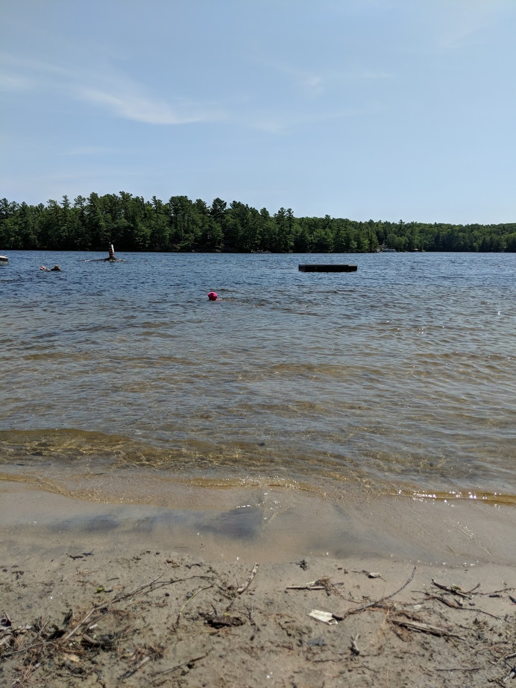 Lakeshore Marina & Chalets | 323 Healey Lake Rd, MacTier, ON P0C 1H0, Canada | Phone: (705) 375-5289
