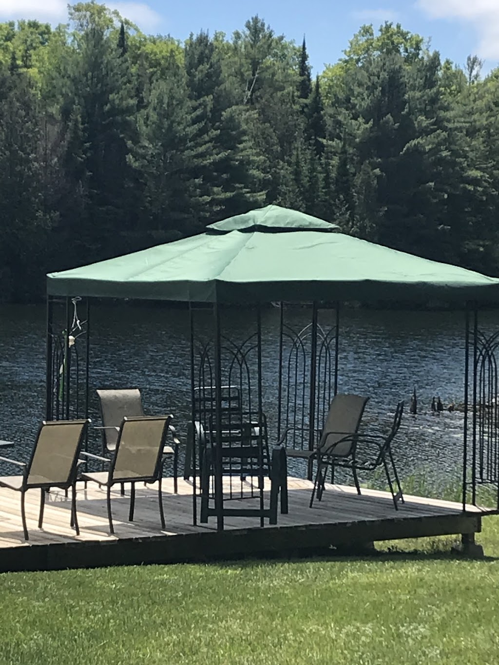 Wilkins Farm | 48 Wilkins Ln, Greater Madawaska, ON K7V 3Z9, Canada | Phone: (613) 859-6962