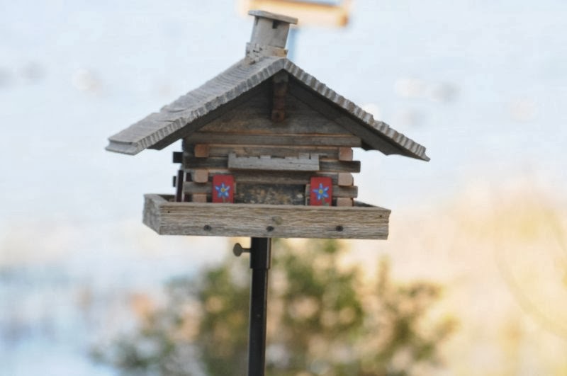 Gilligallou Bird - Almonte | 14 Mill St #3, Almonte, ON K0A 1A0, Canada | Phone: (613) 461-7333