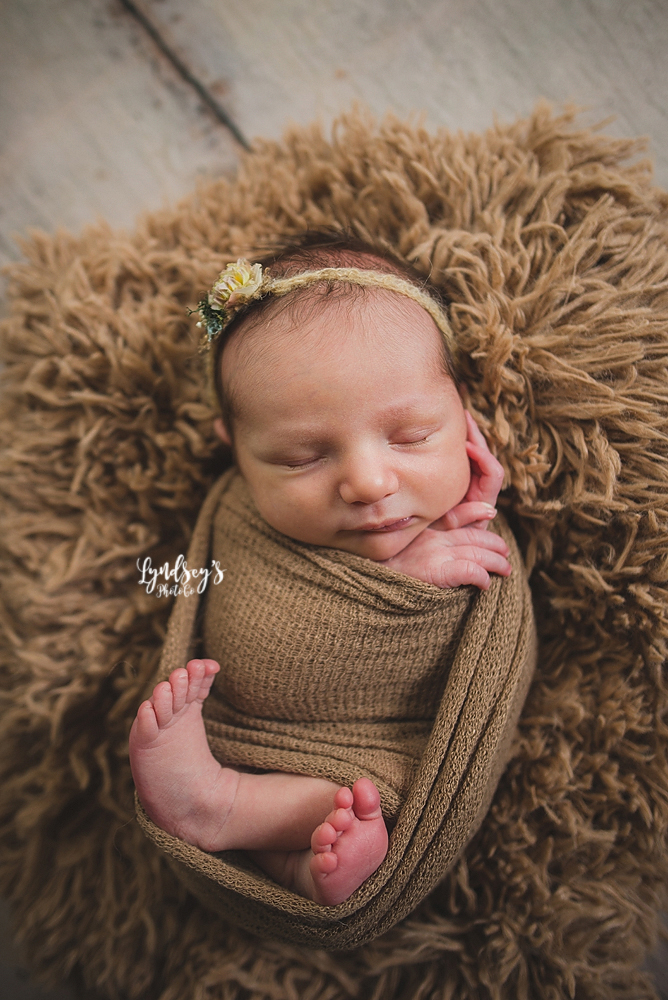 Custom Photo Props | 699 Versailles Rd, Silver Creek, NY 14136, USA | Phone: (716) 951-8021