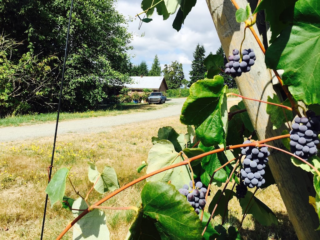 Divino Estate Winery LTD | 1500 Freeman Rd, Cobble Hill, BC V0R 1L3, Canada | Phone: (250) 743-2311
