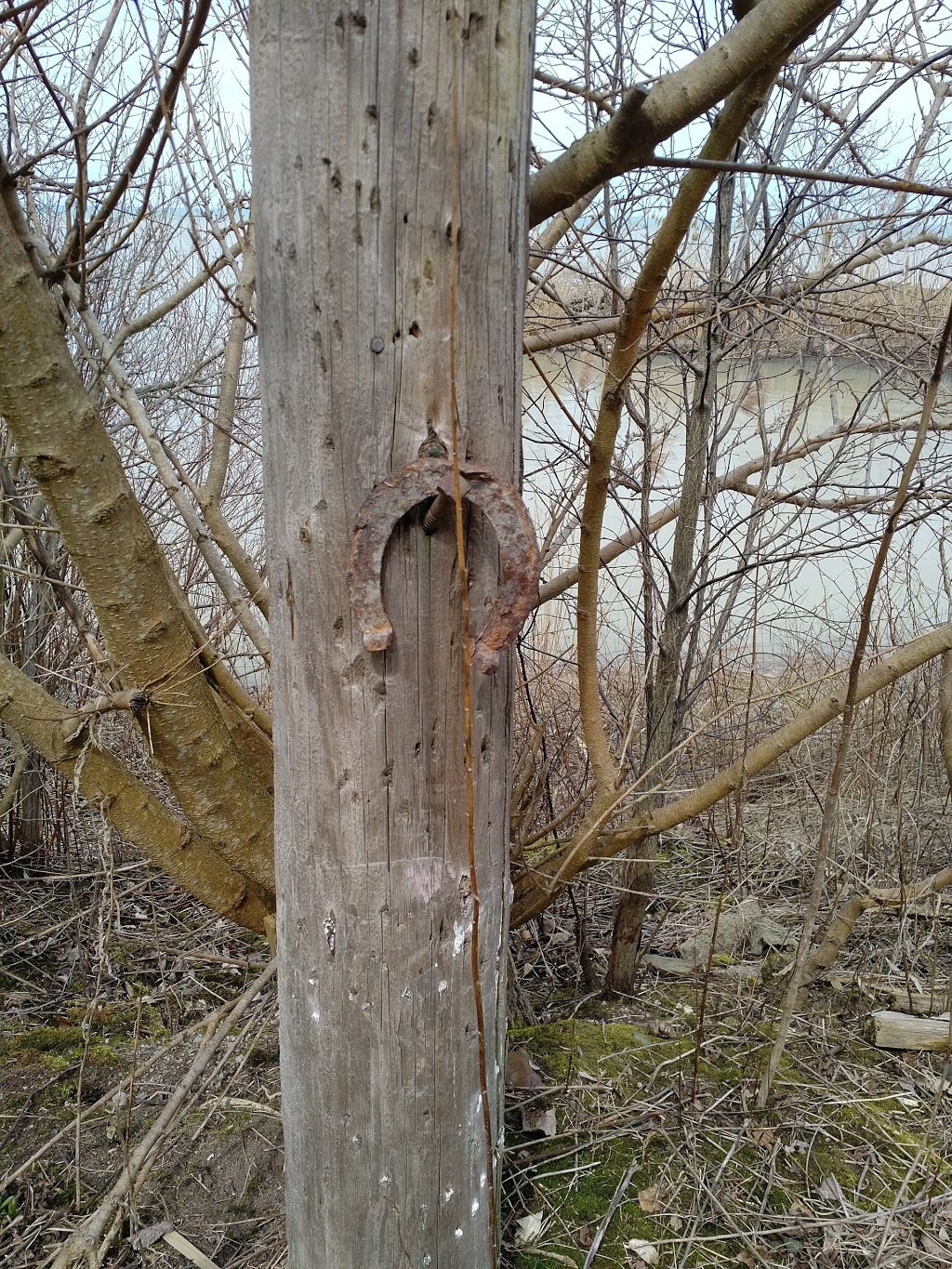 Orchard View Park | 6014 Lakeshore Rd, Lambton Shores, ON N0N 1J7, Canada | Phone: (519) 786-4700