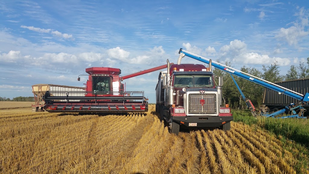 Van Haga Trucking Ltd. | 4607 42 St, Stettler, AB T0C 2L0, Canada | Phone: (403) 323-0060