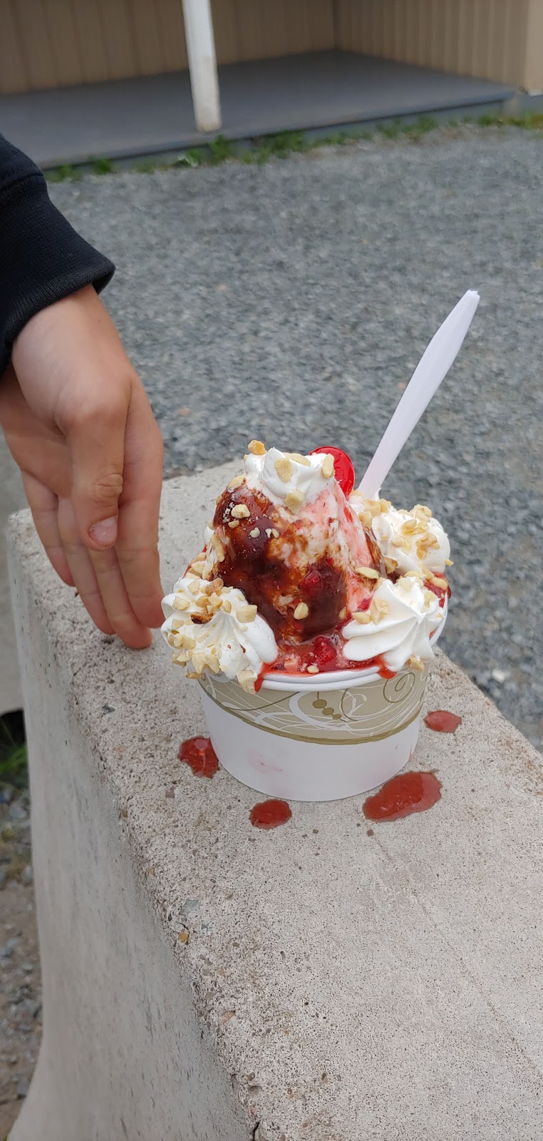 Summertime Treats | 6203 NS-354, Kennetcook, NS B0N 1P0, Canada | Phone: (902) 362-2298