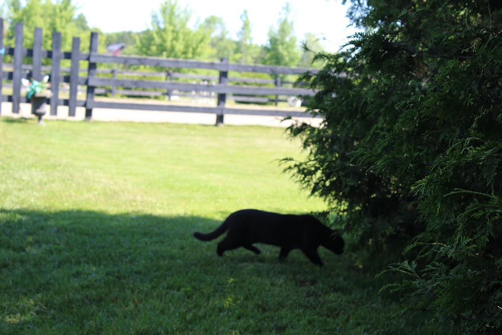 Bogtown Farm | 151 Rang Bogton, Saint-Bernard-de-Lacolle, QC J0J 1V0, Canada | Phone: (514) 774-1415