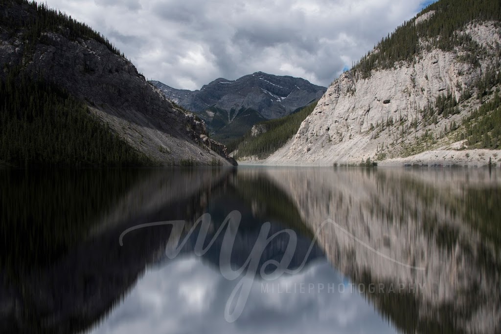Millie P Photography | 140 Royal Oaks Blvd, Moncton, NB E1H 3S4, Canada | Phone: (506) 232-0798