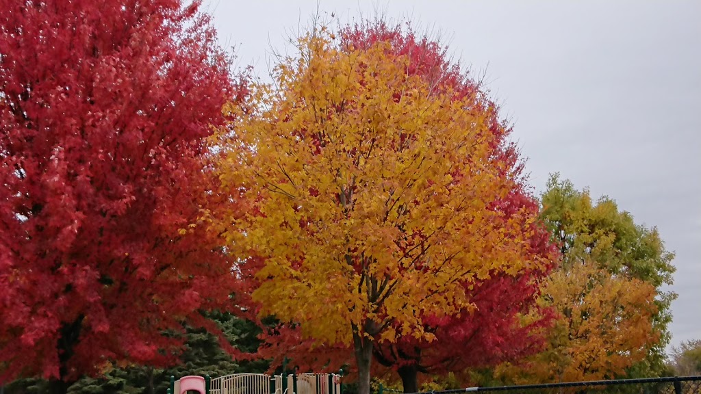 Raccoon Park | 160 Coons Rd, Richmond Hill, ON L4E 2P7, Canada