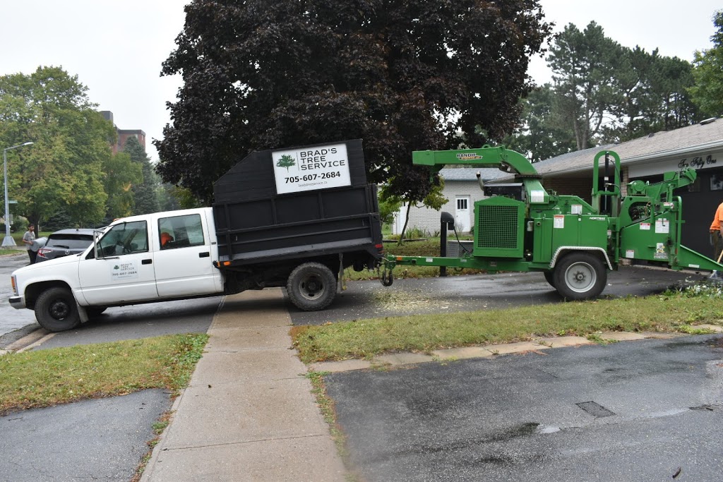 Brads Tree Service | 5413 County Rd 90, Utopia, ON L0M 1T0, Canada | Phone: (705) 607-2684