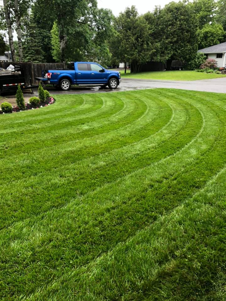 First Class Grass | 16 Turtleback Way, Stittsville, ON K2S 1P6, Canada | Phone: (613) 700-5546