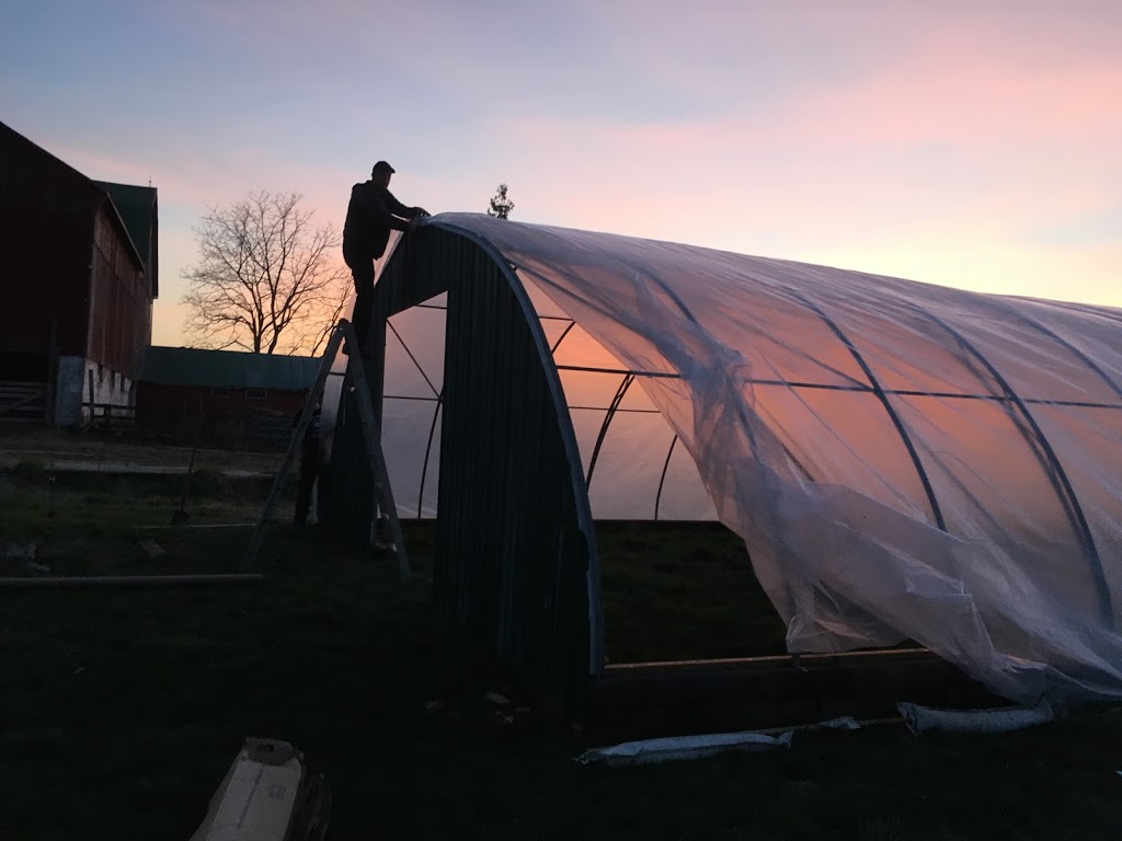 Rural Roots Nursery and Market Garden | 2674 County Rd 42, Stayner, ON L0M 1S0, Canada | Phone: (705) 305-3514