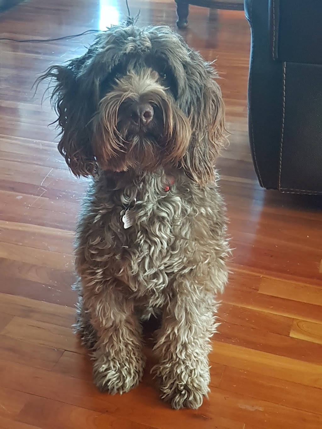 Blenheim Veterinary Hospital | 318 Chatham St N, Blenheim, ON N0P 1A0, Canada | Phone: (519) 676-4968