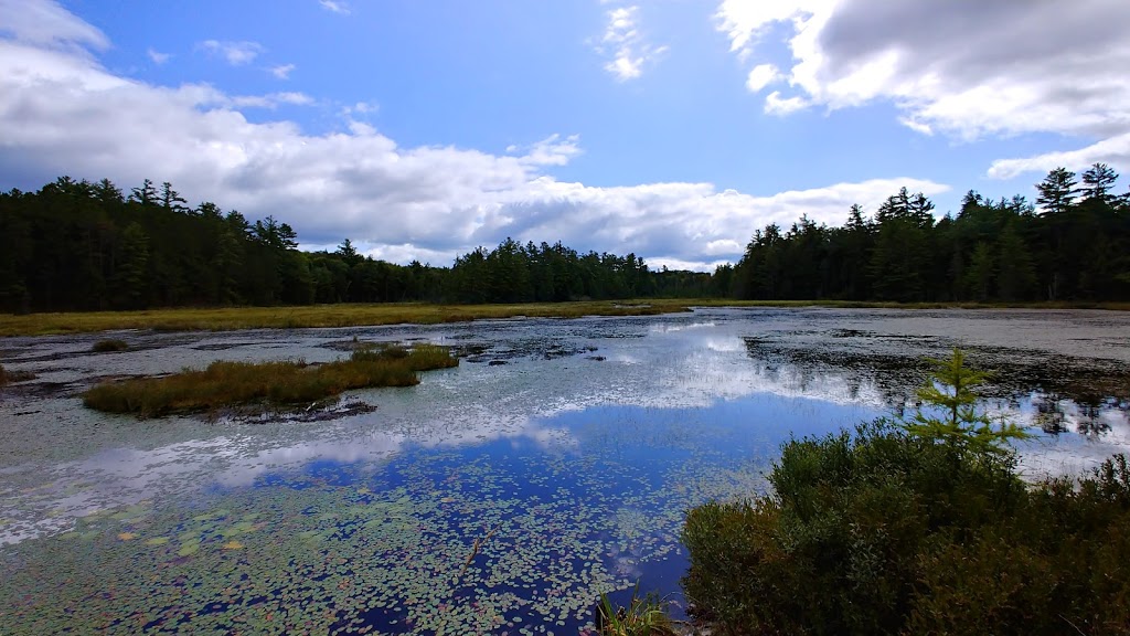 Silent Lake Provincial Park | 1589 Silent Lake Park Road, Bancroft, ON K0L 1C0, Canada | Phone: (613) 339-2807