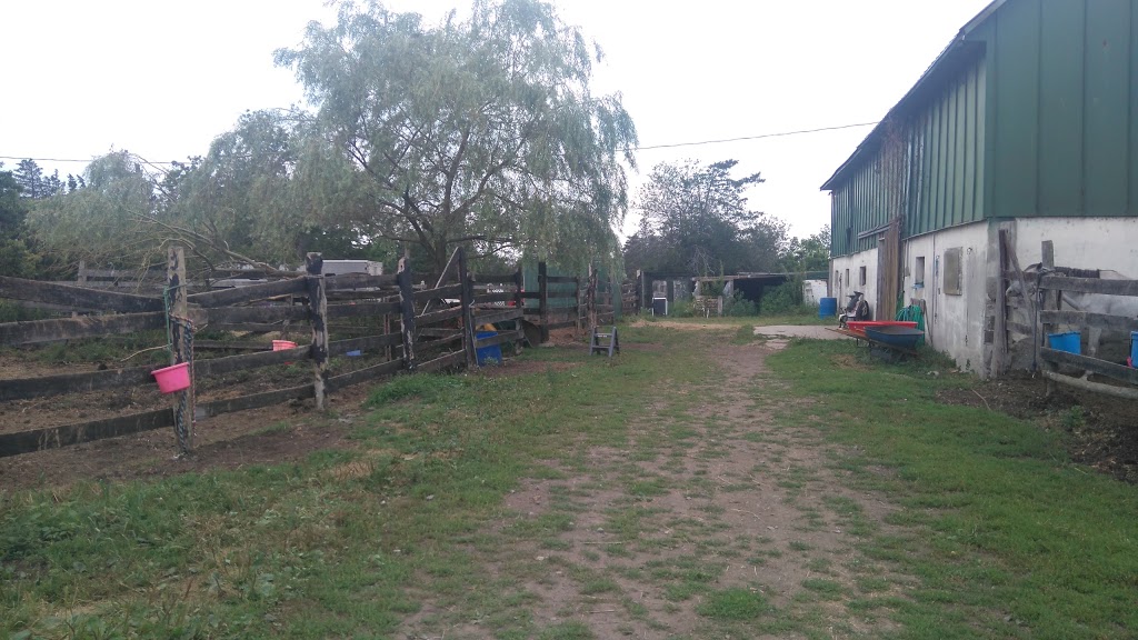 Tanglewood Farm | 31 Zufelt Rd, Consecon, ON K0K 1T0, Canada | Phone: (613) 392-8239