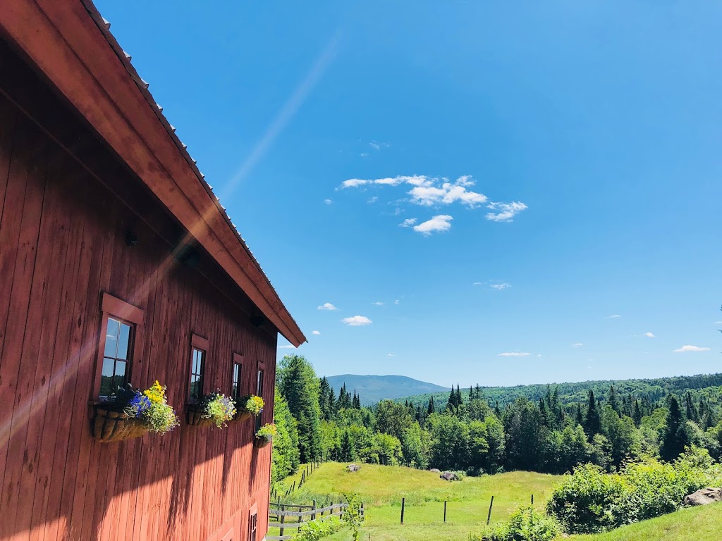 Wooly Buggah Barn | 182 Center Pond Rd, West Burke, VT 05871, USA | Phone: (802) 535-2200