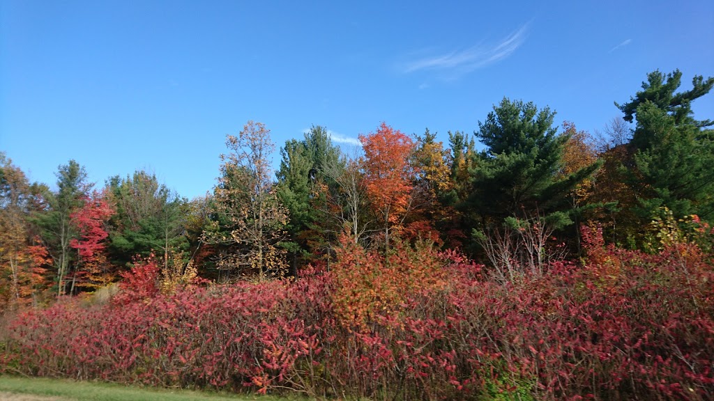 Parc des Sapins | 14 Rue des Sapins, Vaudreuil-Dorion, QC J7V 0K1, Canada