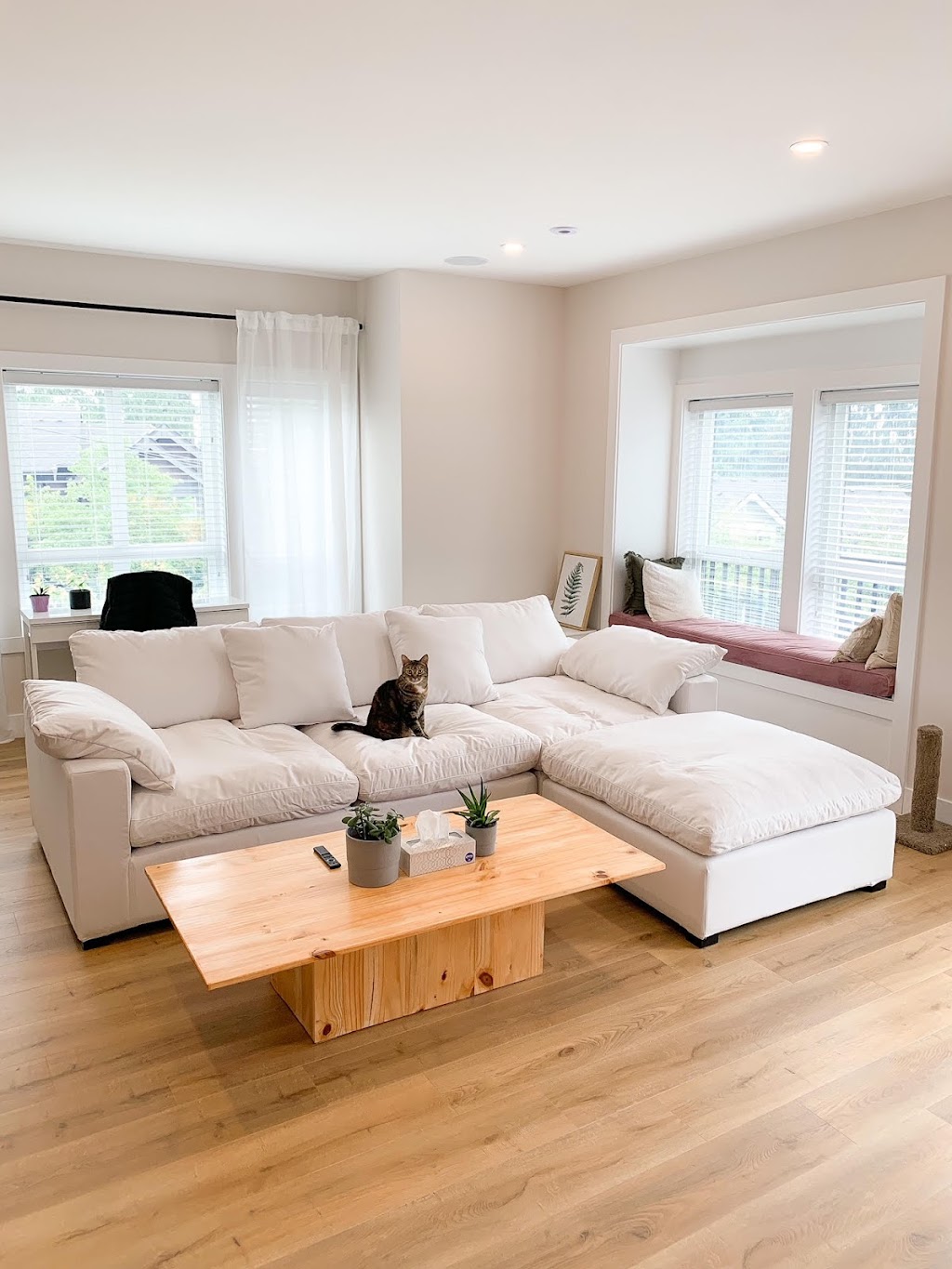 CouchHaus | 8161 201 St #8, Langley Twp, BC V2Y 4J1, Canada | Phone: (604) 330-1855