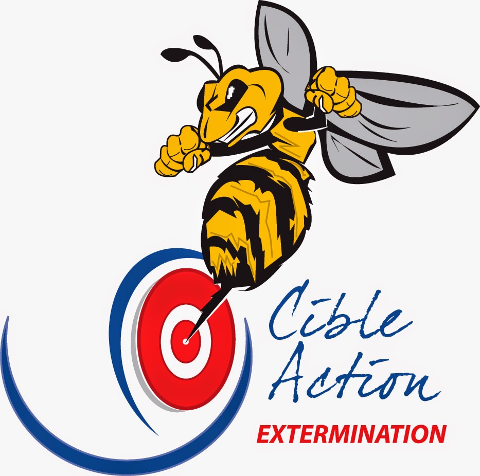 Cible Action | 1830 Rue de Grondines, Terrebonne, QC J6X 2W3, Canada | Phone: (514) 992-2609