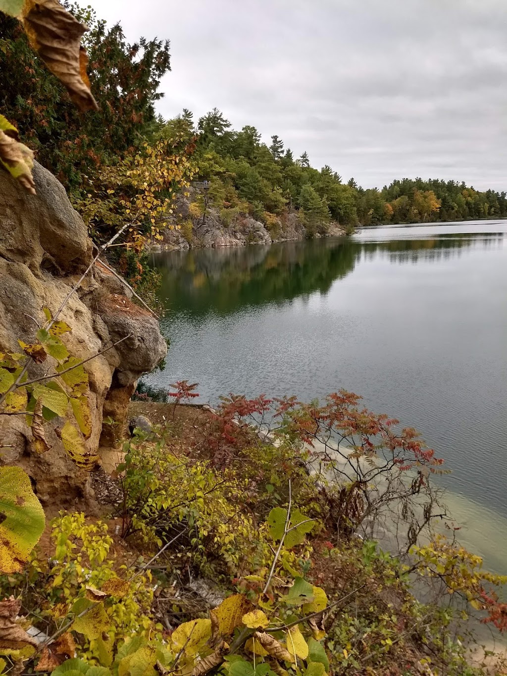 Gatineau Park Visitor Centre | 33 Chemin Scott, Chelsea, QC J9B 1R5, Canada | Phone: (819) 827-2020