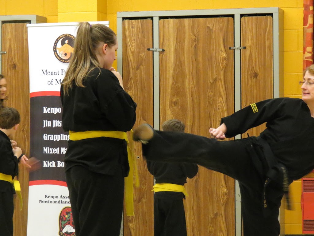 Mount Pearl School Of Martial Arts | ODonel High School, Mount Pearl, NL A1N 4M9, Canada | Phone: (709) 682-0335