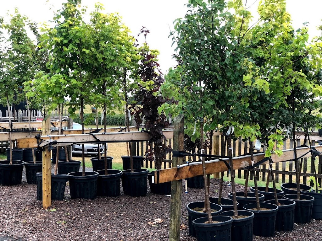 Kool Breeze Farms Garden Centre & Farm Market | 231 Read Dr, Summerside, PE C1N 5B1, Canada | Phone: (902) 436-1900