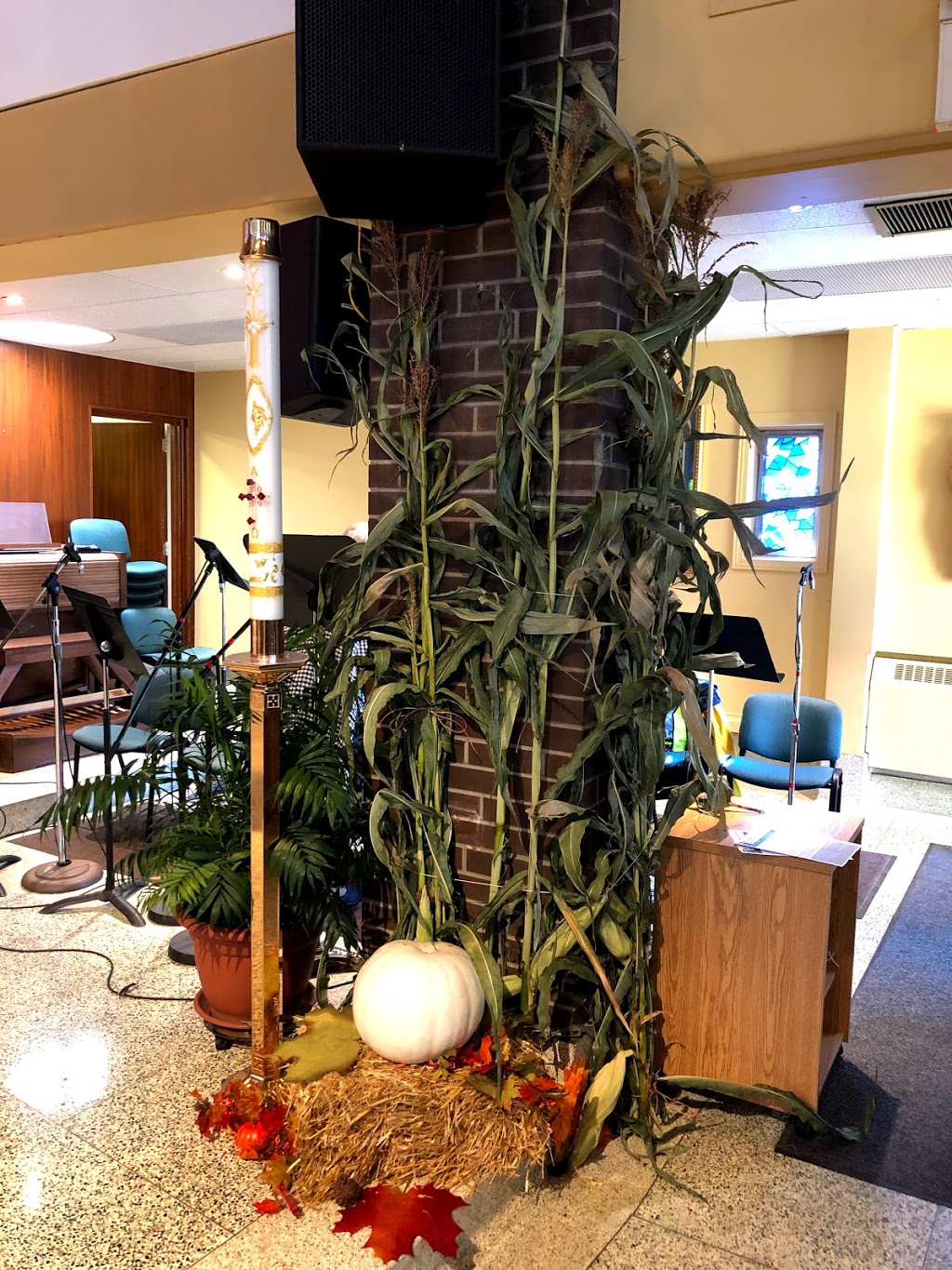 St. Alphonsus Liguori | 1066 Western Ave, Peterborough, ON K9J 5W6, Canada | Phone: (705) 745-8623