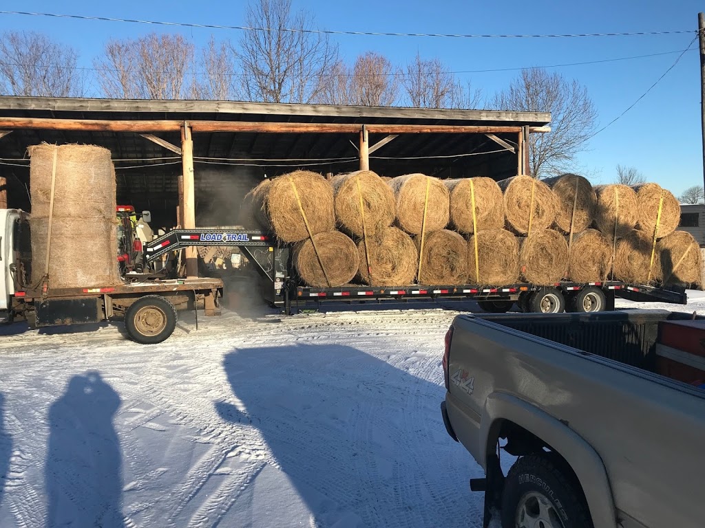 Dobson Trucking | 1207 10 Line N, Hawkestone, ON L0L 1T0, Canada | Phone: (705) 323-2062