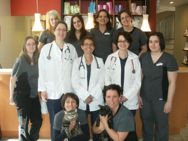 Clinique Vétérinaire de Buckingham | 606 Avenue de Buckingham, Gatineau, QC J8L 2H5, Canada | Phone: (819) 281-0832