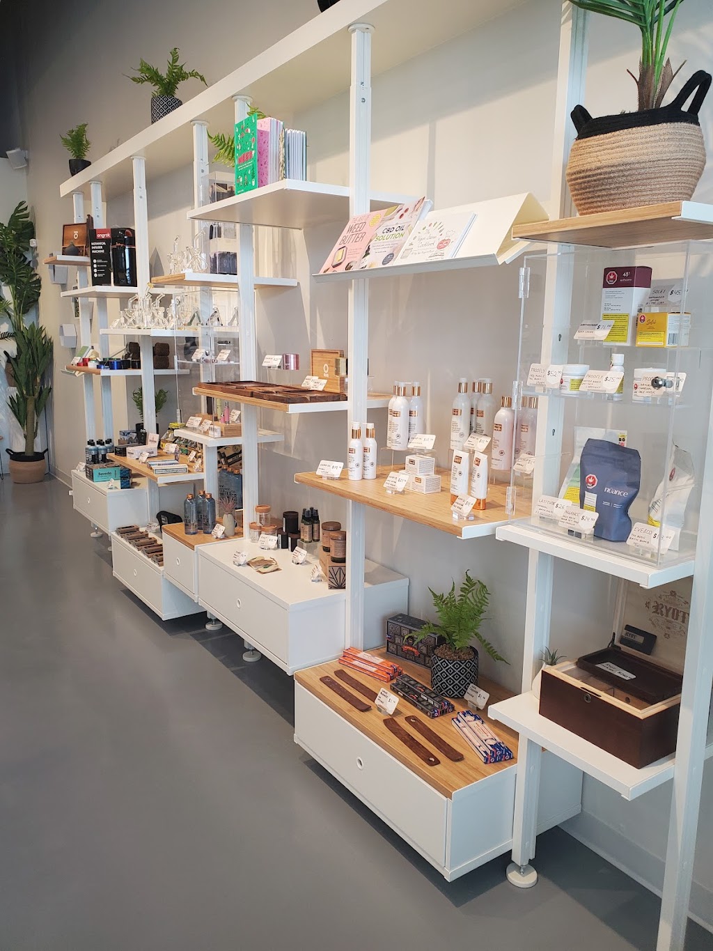 Crossroads Cannabis Hanover | 880 10th St #105, Hanover, ON N4N 1S3, Canada | Phone: (519) 506-4420