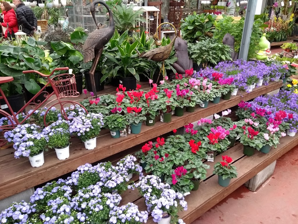 Floralies Jouvence | 2020 Avenue Jules-Verne, Québec, QC G2G 2R2, Canada | Phone: (418) 872-0869