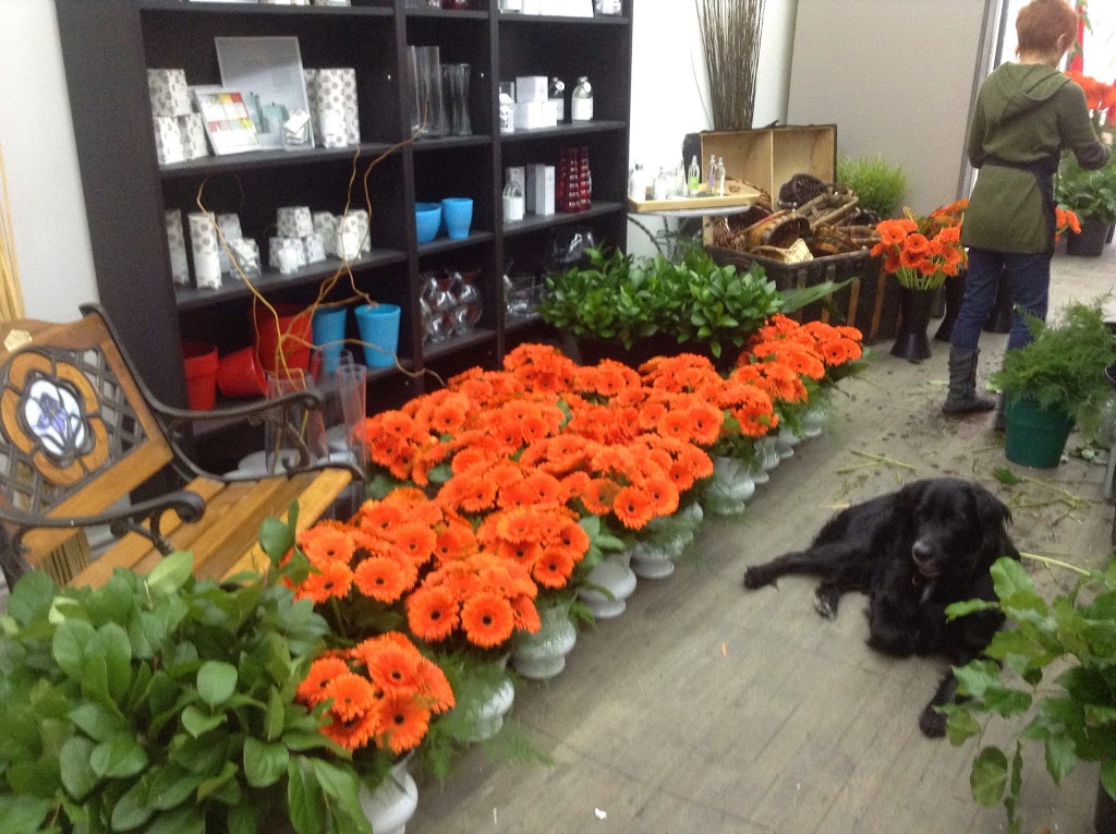 À la Fleuristerie | 2565 Rue Beaubien E, Montréal, QC H1Y 1G4, Canada | Phone: (514) 388-3378