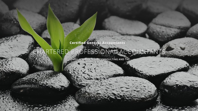 Shellnutt Professional Accountants | 250 Baker Dr #214, Dartmouth, NS B2W 6L4, Canada | Phone: (902) 434-3301