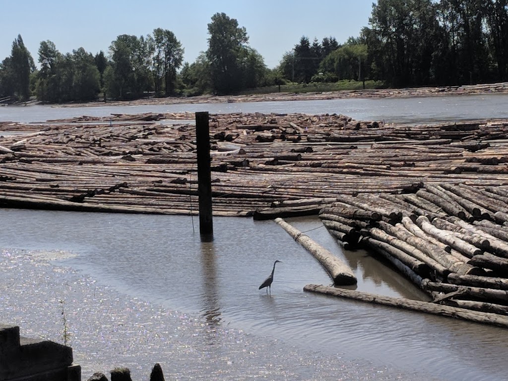 Fraser River Trail - Burnaby Gateway | River District Crossing, Vancouver, BC V5J 5H4, Canada | Phone: (604) 873-7000