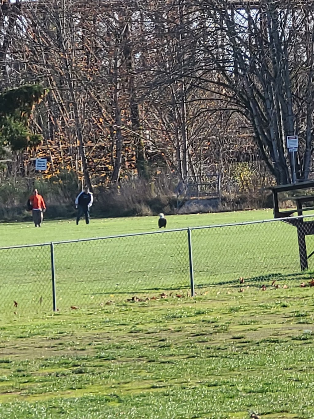 Si’em Lelum Gymnasium | 5574 River Rd, Duncan, BC V9L 6V9, Canada | Phone: (250) 748-1831