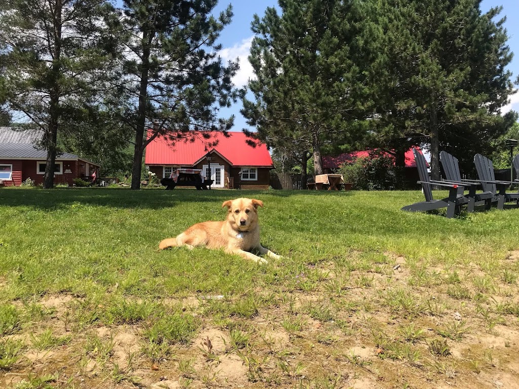 Cabins at the Domain | 1282 Carroll Rd, Haliburton, ON K0M 1S0, Canada | Phone: (705) 457-1242