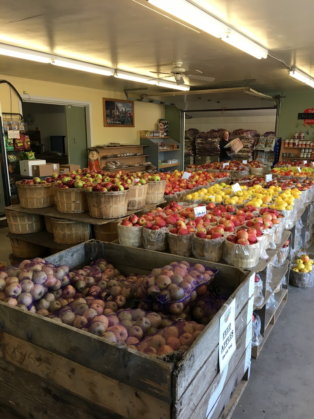 Stirlings Farm Market (Blue Acres) | 339 Bridge Ave, New Glasgow, NS B2H 5C5, Canada | Phone: (902) 755-2458