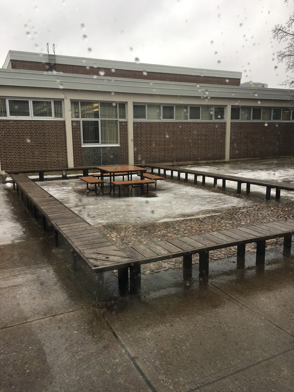 Bayview Secondary School | 10077 Bayview Ave, Richmond Hill, ON L4C 2L4, Canada | Phone: (905) 884-4453