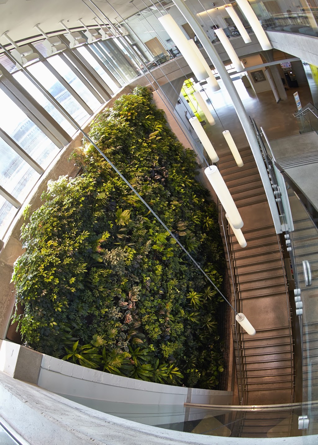 Mohawk College Library | 135 Fennell Ave W, Hamilton, ON L8N 3T2, Canada | Phone: (905) 575-2077