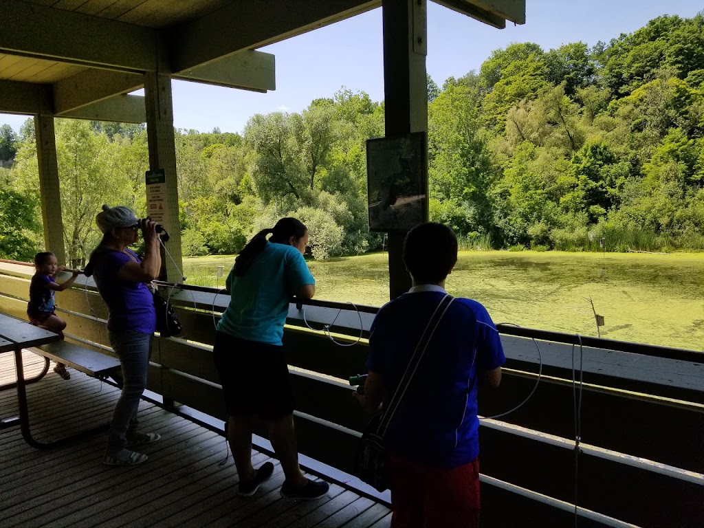 Waterfowl Viewing | 361A Old Finch Ave, Scarborough, ON M1B 5K7, Canada | Phone: (416) 392-5929