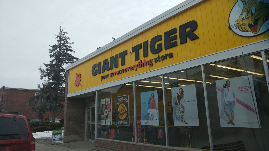 Giant Tiger | clothing store | 13 King St W, Hagersville, ON N0A 1H0, Canada | 9057687376 OR +1 905-768-7376