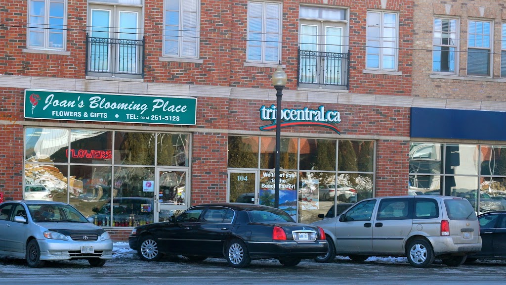 Joans Blooming Place | 3609 Lake Shore Blvd W, Etobicoke, ON M8W 1P5, Canada | Phone: (416) 251-5128