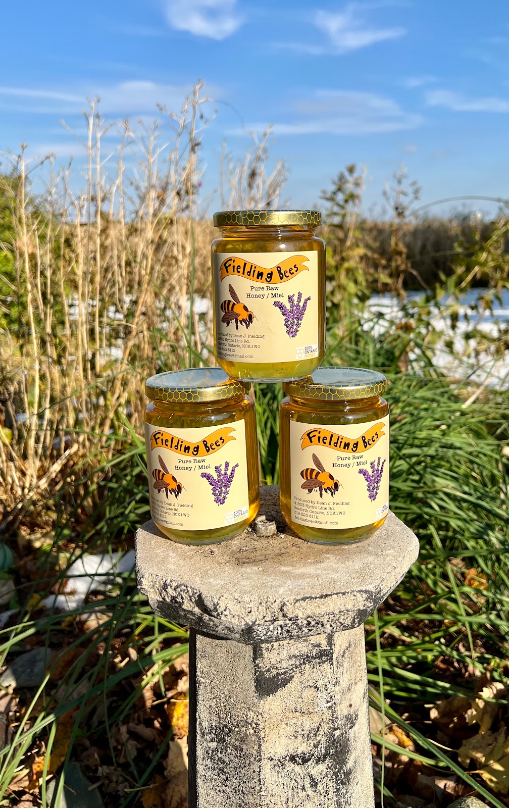 Fielding Bees | 41803 Hydro Line Rd, Seaforth, ON N0K 1W0, Canada | Phone: (519) 525-8112