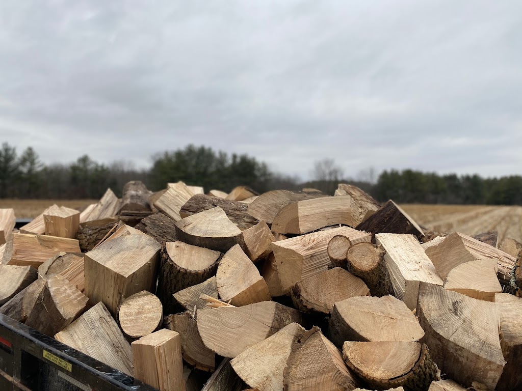 Ben & Jerrys Firewood | 10537 Kerr Rd, Rodney, ON N0L 2C0, Canada | Phone: (519) 860-0308