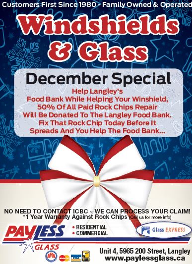 Payless Glass Ltd. | 5965 200 St, Langley City, BC V3A 1N2, Canada | Phone: (604) 533-4554