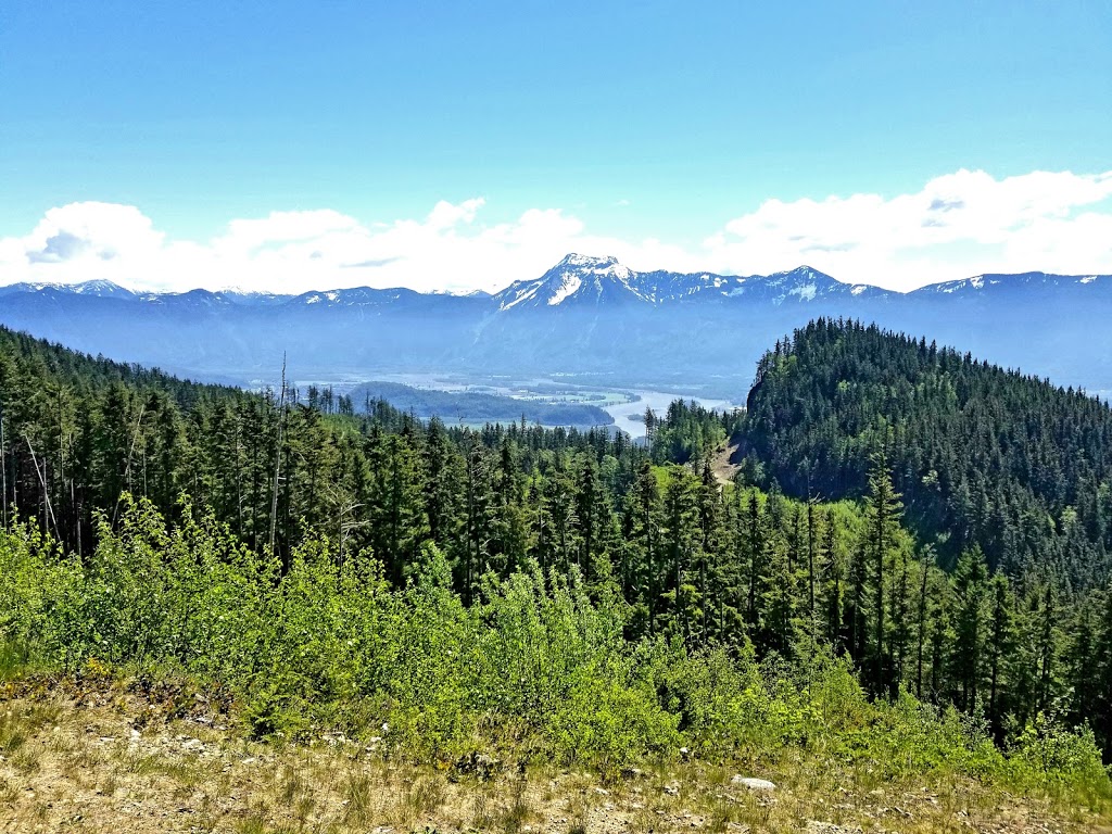 FlyBC Paragliding | 1253 Kilby Rd, Harrison Mills, BC V0M 1L0, Canada | Phone: (604) 618-5467