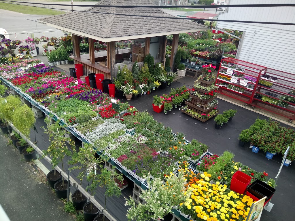 Centre De Jardin & Fruiterie Acton 2000 Inc | 1455 Rue dActon, Acton Vale, QC J0H 1A0, Canada | Phone: (450) 546-2628