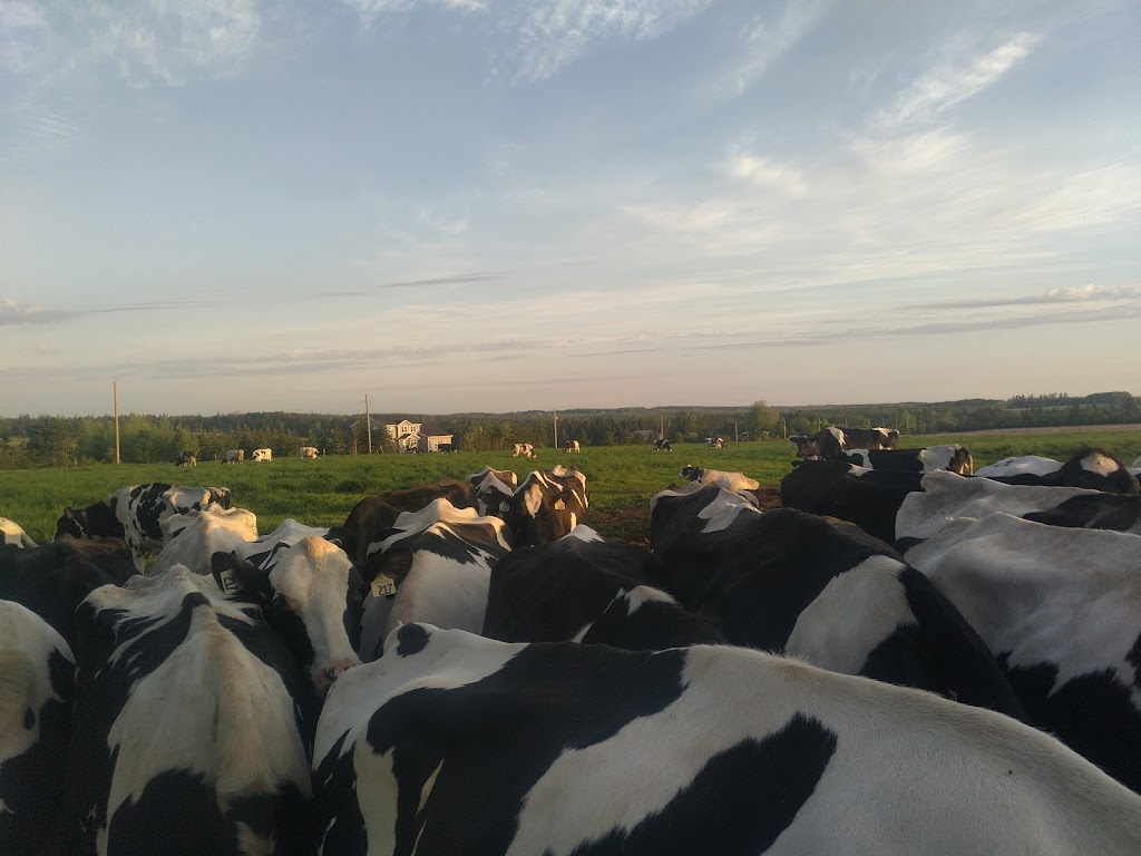 Talnie Farms Inc. | 1234 Union Rd #221, Union Road, PE C1E 3B7, Canada | Phone: (902) 626-7951