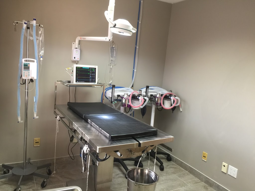 Vet-Champlain Animal Care Inc | 880 Champlain St, Dieppe, NB E1A 1P7, Canada | Phone: (506) 830-6888