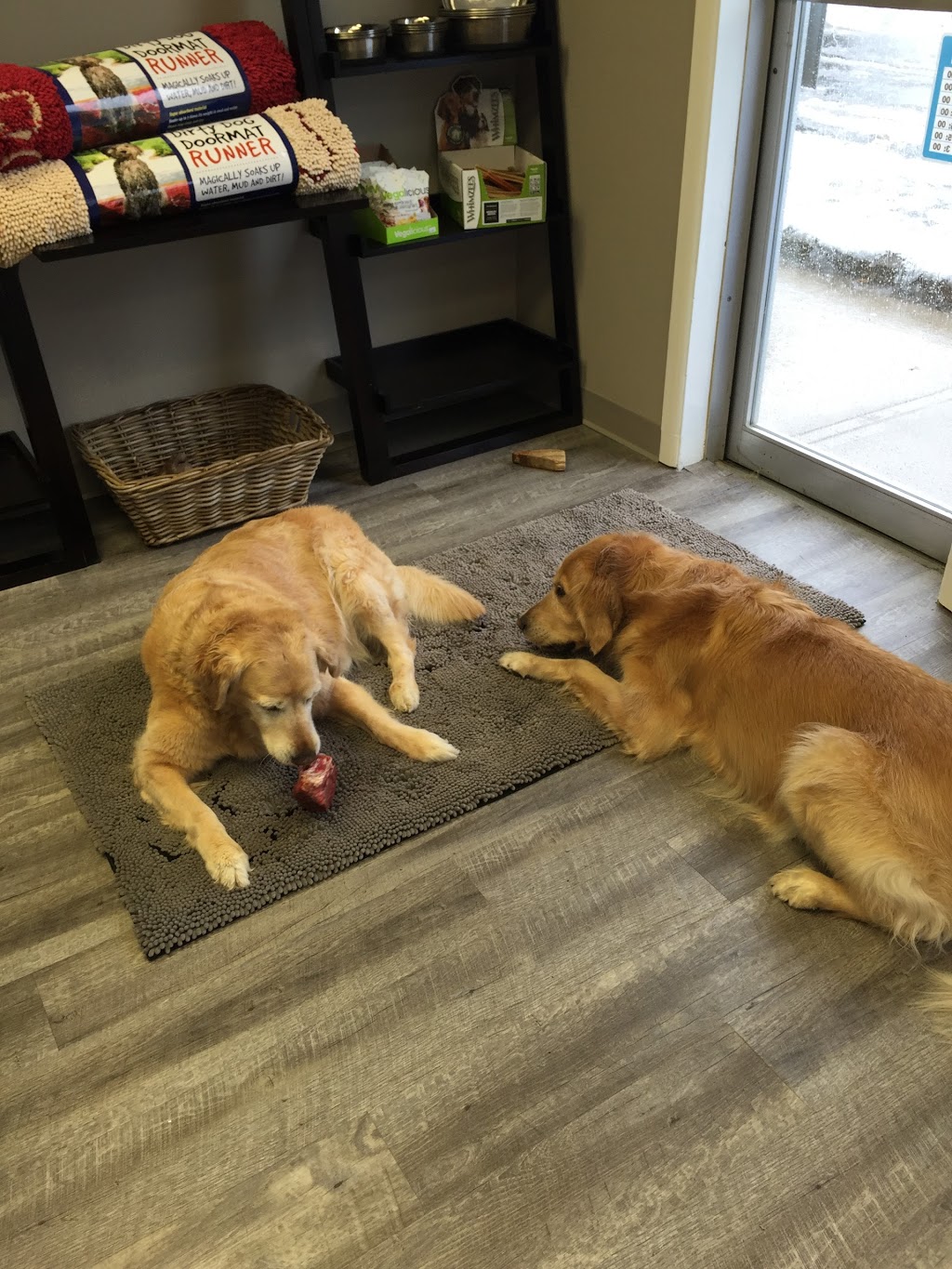 Chews Raw Pet Food | 287 Dundas St E, Waterdown, ON L0R 2H0, Canada | Phone: (905) 407-8018